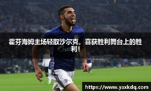 霍芬海姆主场轻取沙尔克，喜获胜利舞台上的胜利！